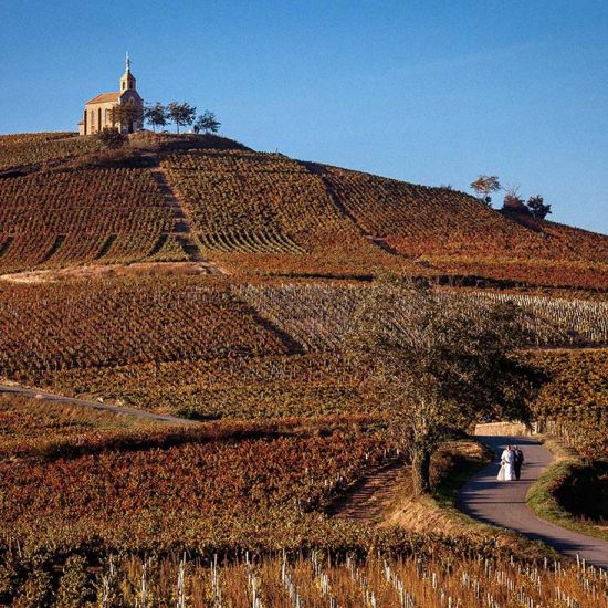 Vineyard Wedding France