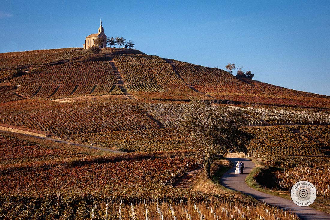 Vineyard Wedding France